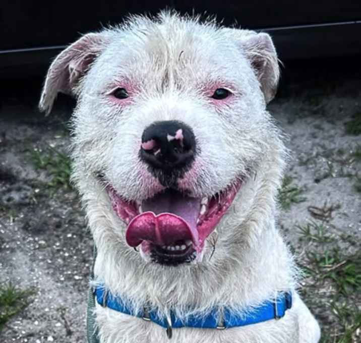 Photo of Cletus