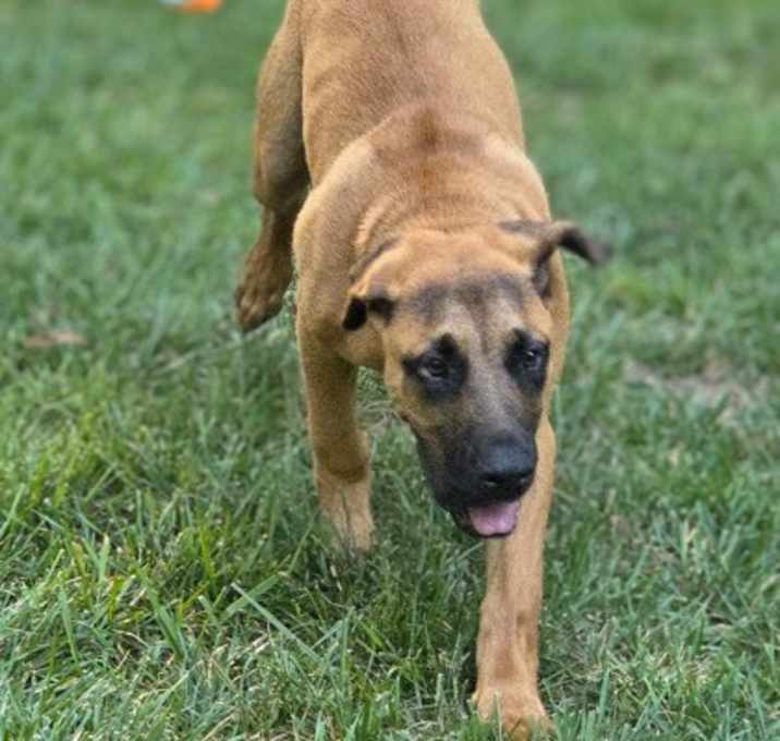 Photo of Buster Brown