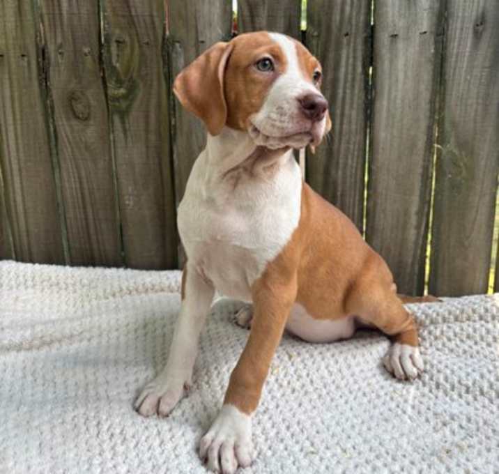 Photo of Ivy