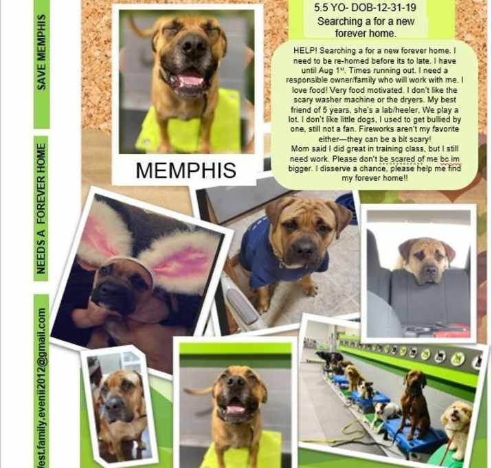Photo of MEMPHIS