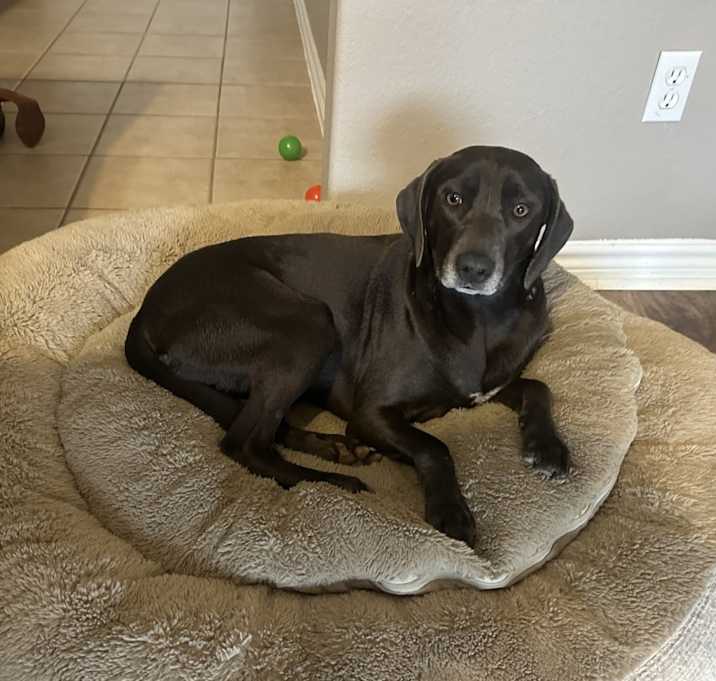 Photo of Millie