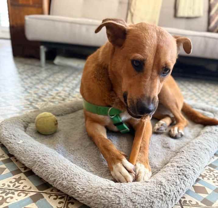 Photo of Greta