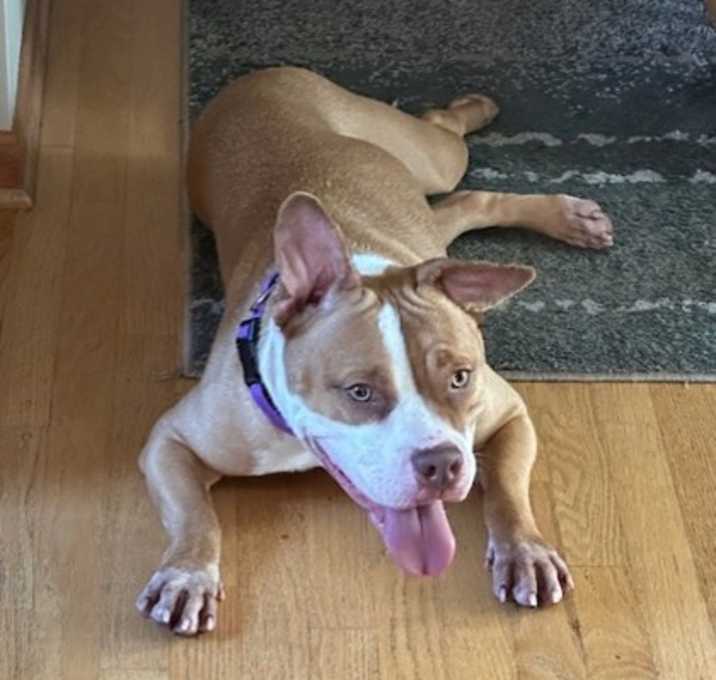 Photo of Mocha