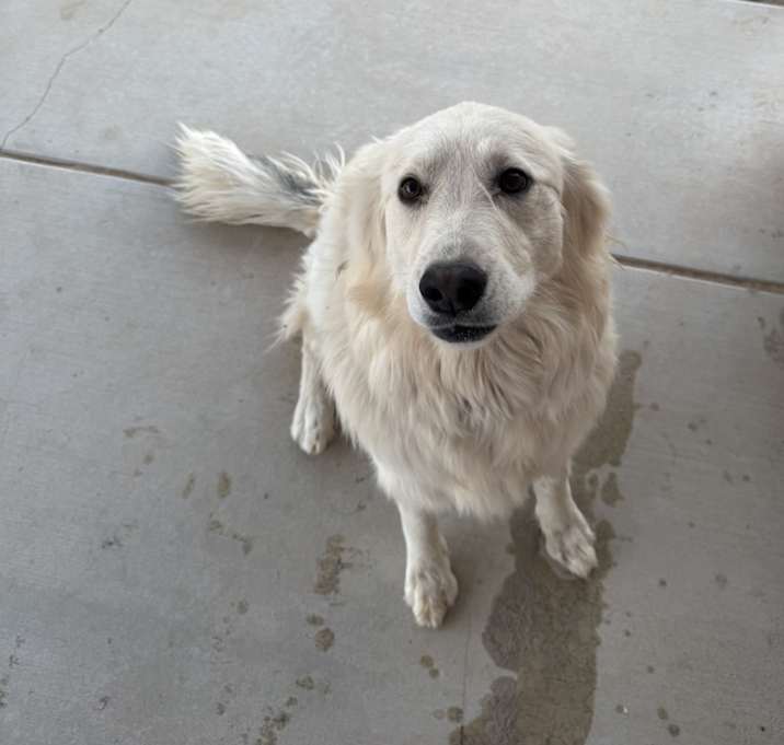 Photo of Kaia