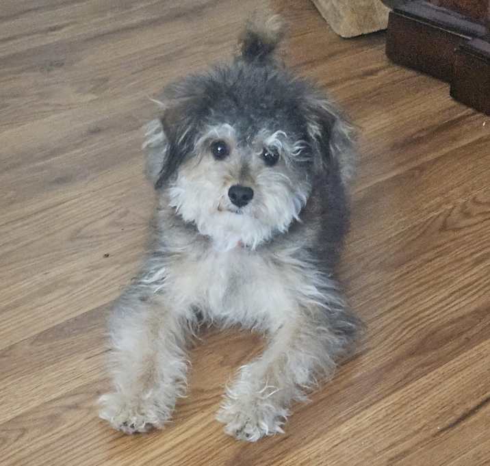 Photo of Jaxx