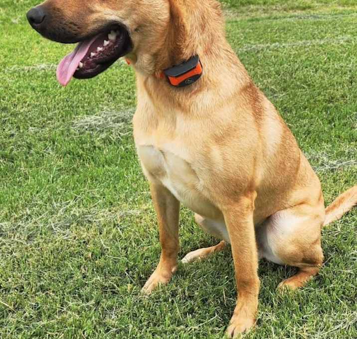 Photo of Max