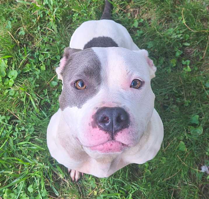 Photo of Willow