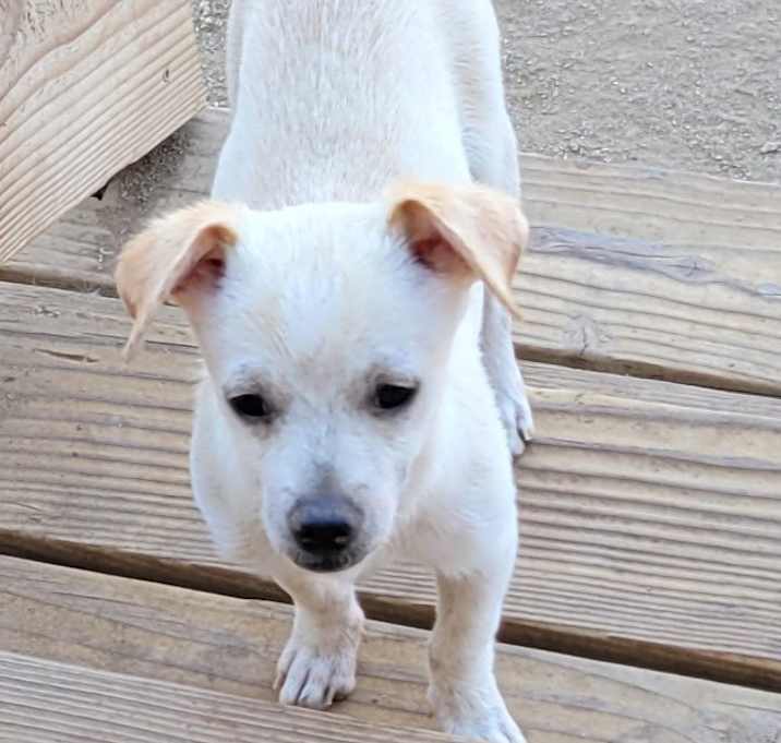 Photo of Beanie