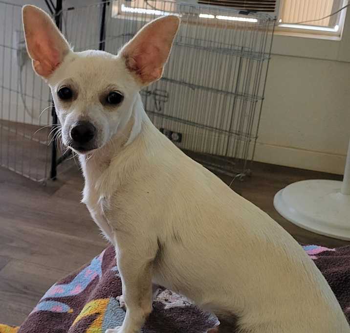 Photo of Benny