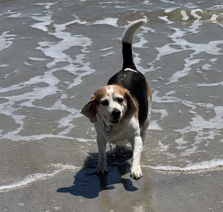 Photo of Lucy