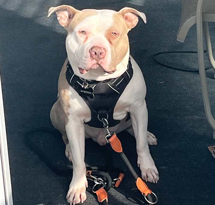 Photo of Kobe