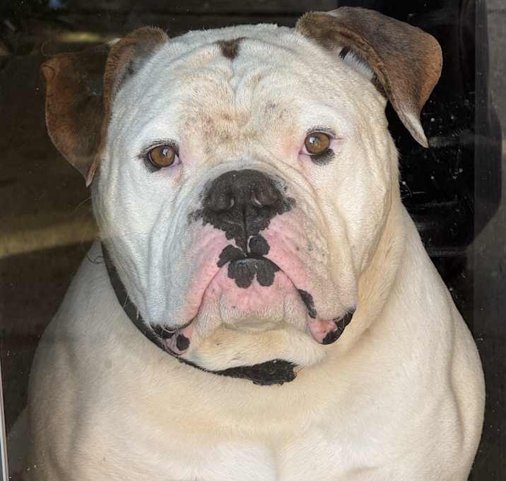 Photo of Thanos