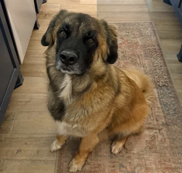 Photo of Doug