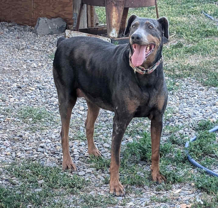 Photo of Holly