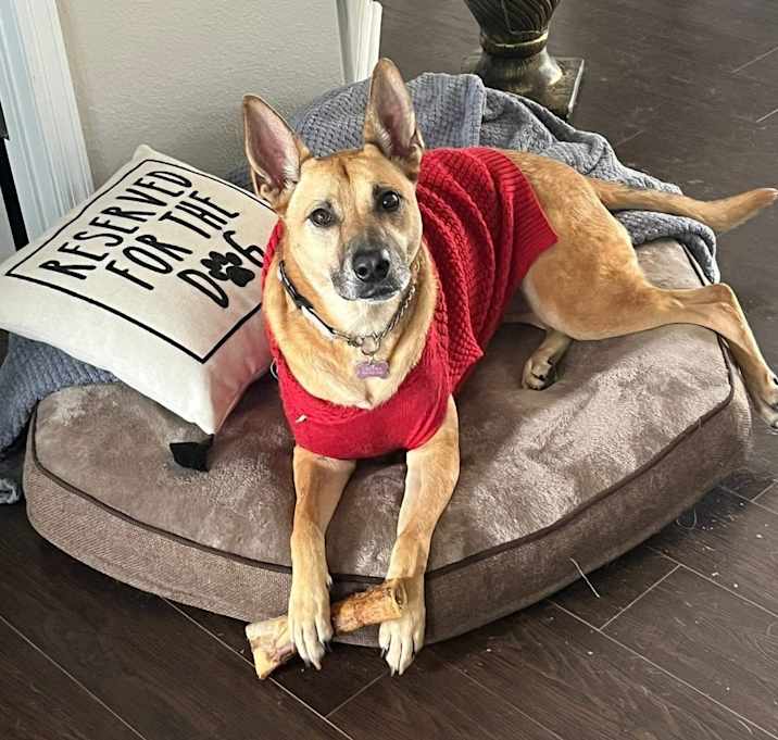 Photo of Lilitha (Lil)