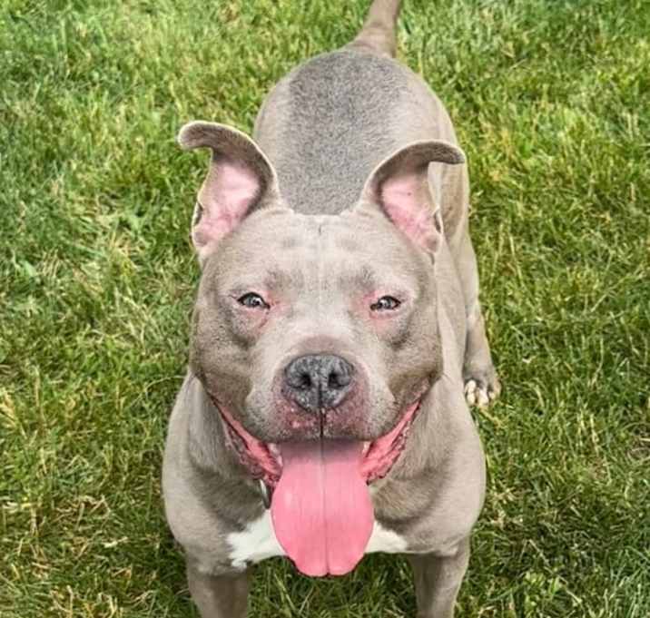 Photo of Wanda