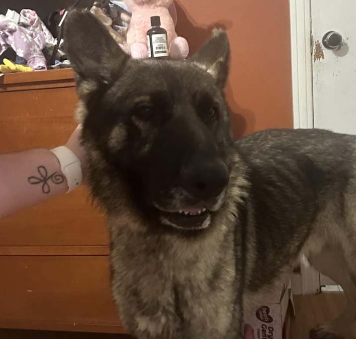 Photo of Spartan