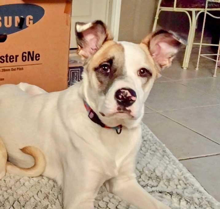 Photo of Jax