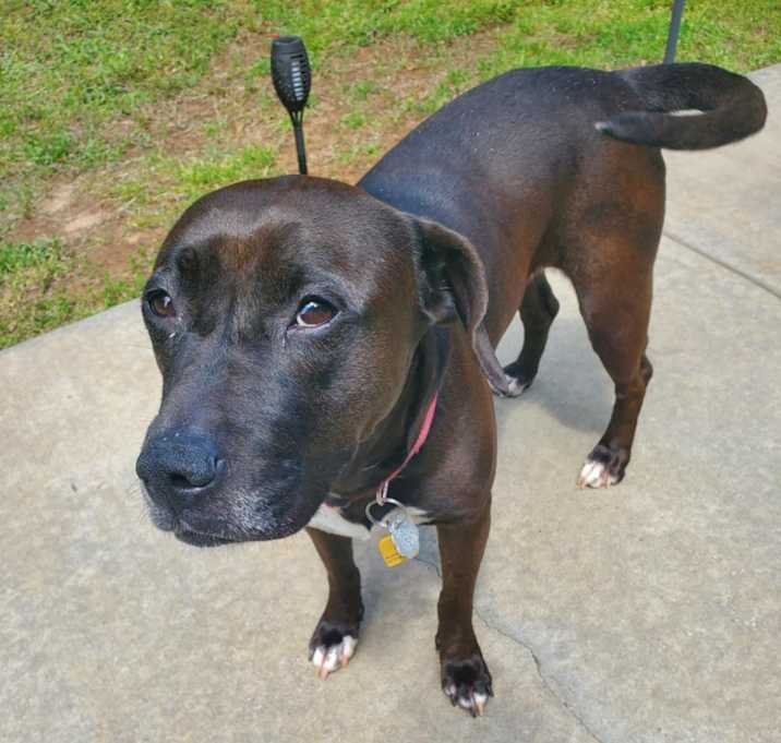 Photo of Lexi