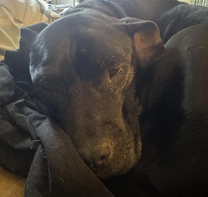Photo of Jinx