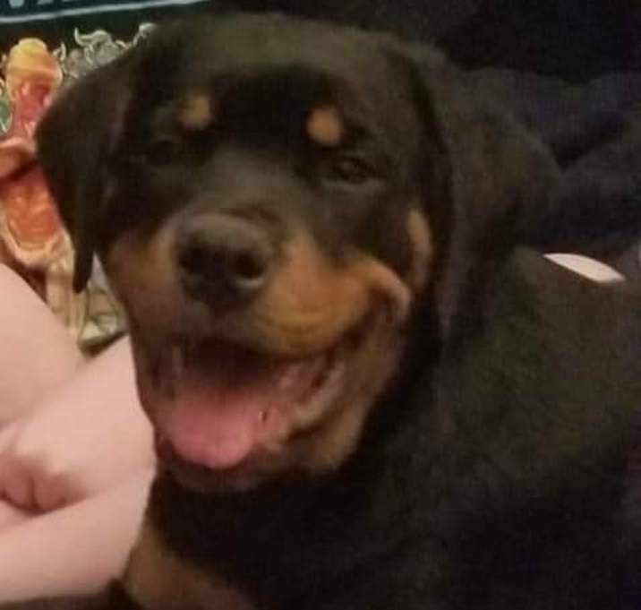 Photo of Xena