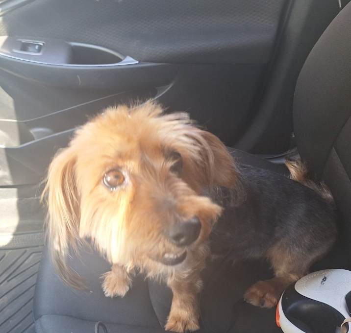 Photo of Lola