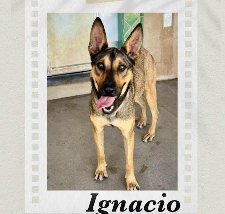 Photo of Ignacio