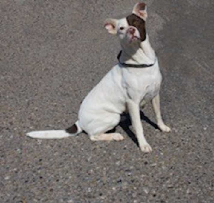 Photo of Penelope
