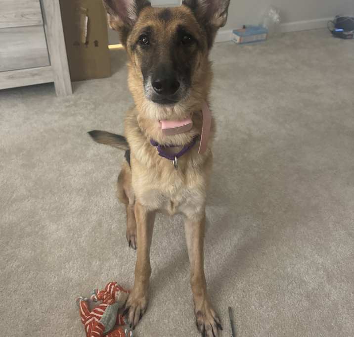 Photo of Kaia