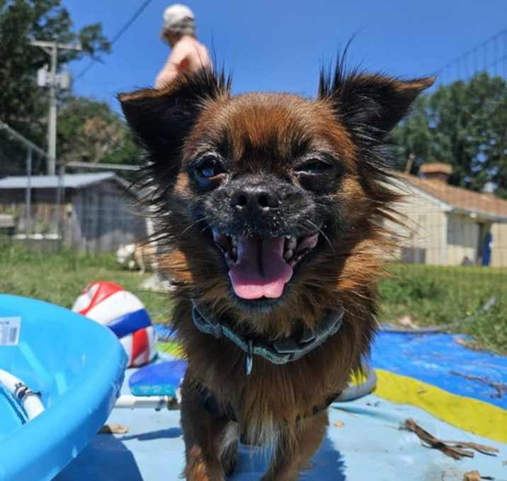 Photo of General: Not At shelter