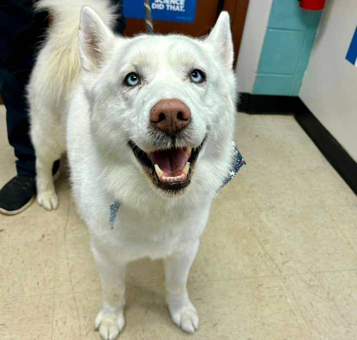 Photo of Timber