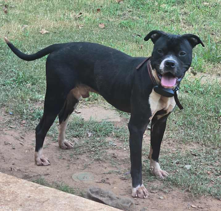 Photo of Vader