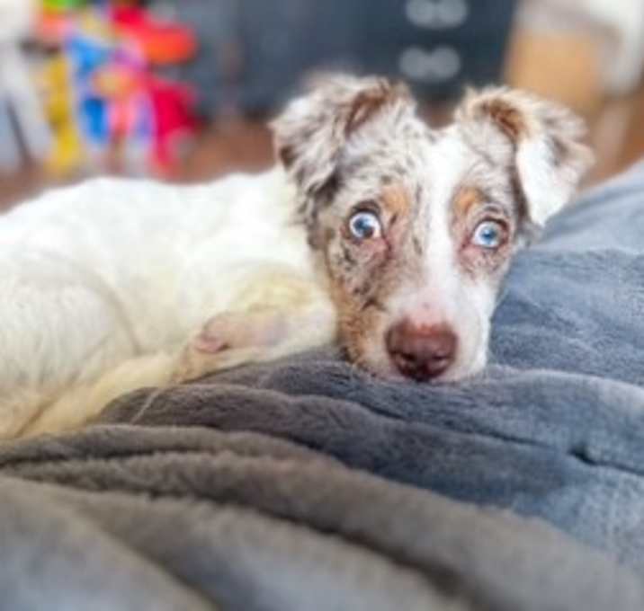 Photo of Cora Belle