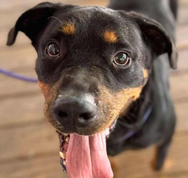 Photo of Rizzo