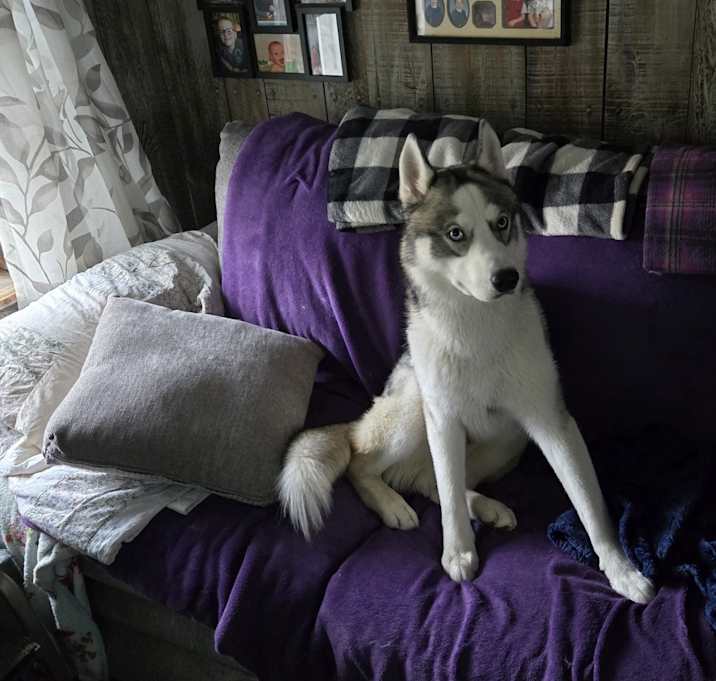 Photo of Turbo