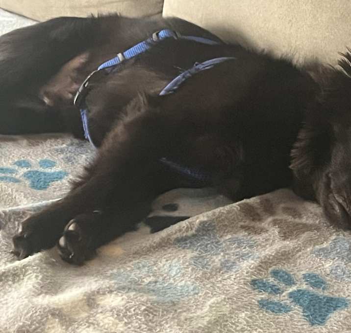 Photo of Kevin