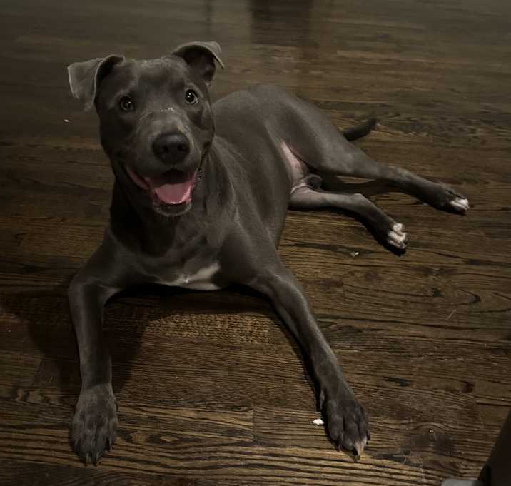 Photo of Creed