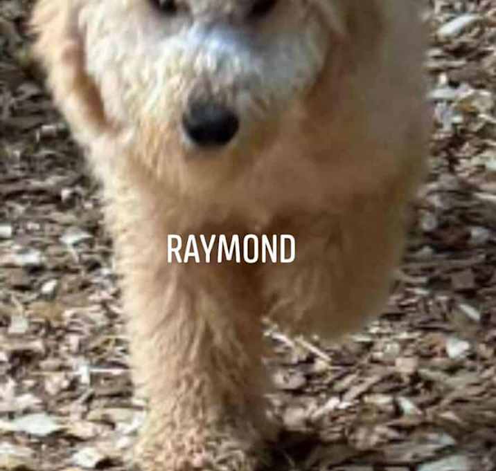 Photo of Raymond