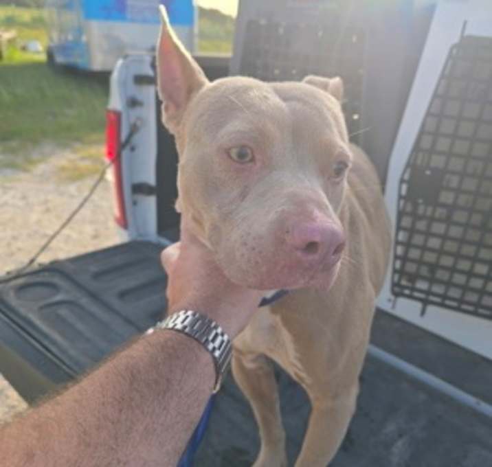 Photo of Roxy