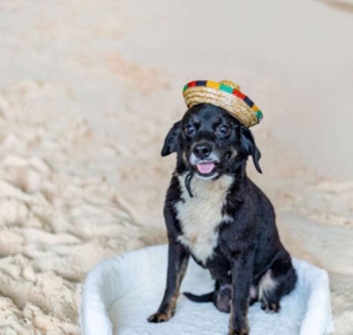 Photo of Maybelle