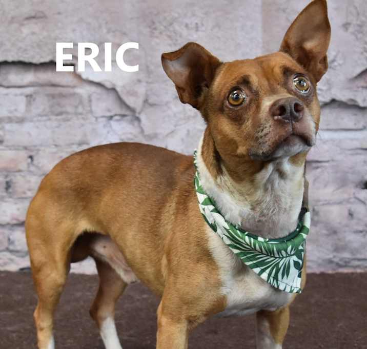 Photo of Eric 