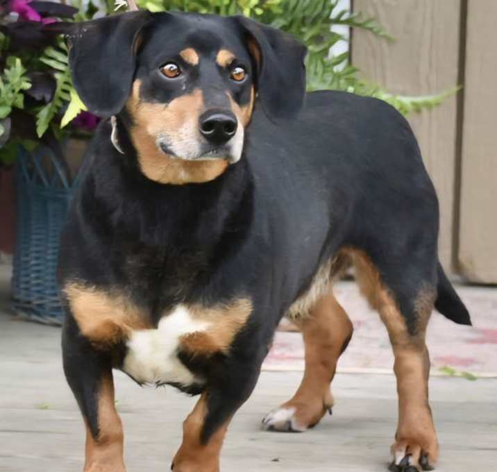 Photo of BUDDY IS A BEST FRIEND