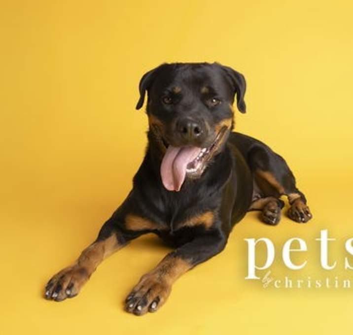 Photo of Honey
