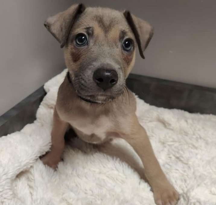 Photo of Jax