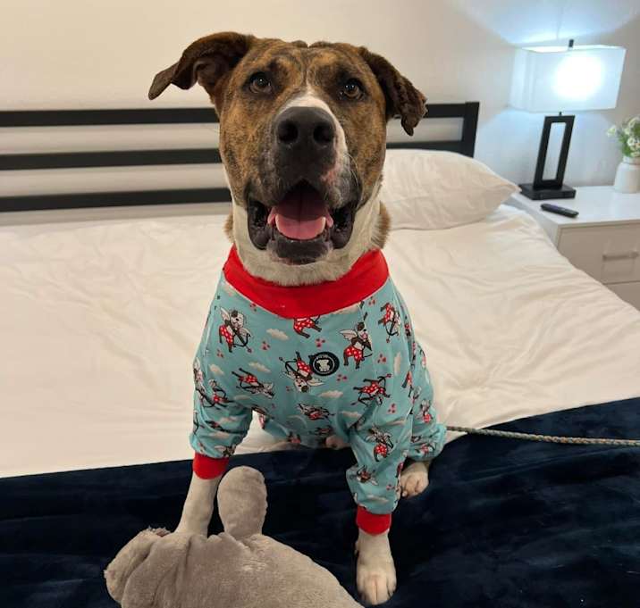 Photo of Chuck