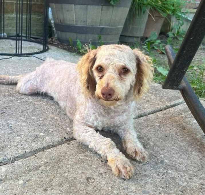Photo of Giggy