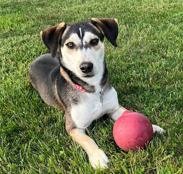 Photo of Thor