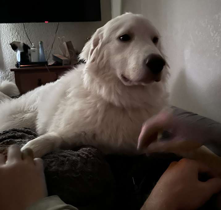 Photo of Hemi