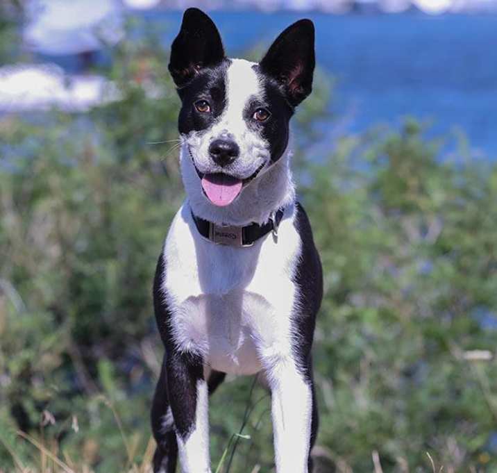 Photo of Brina