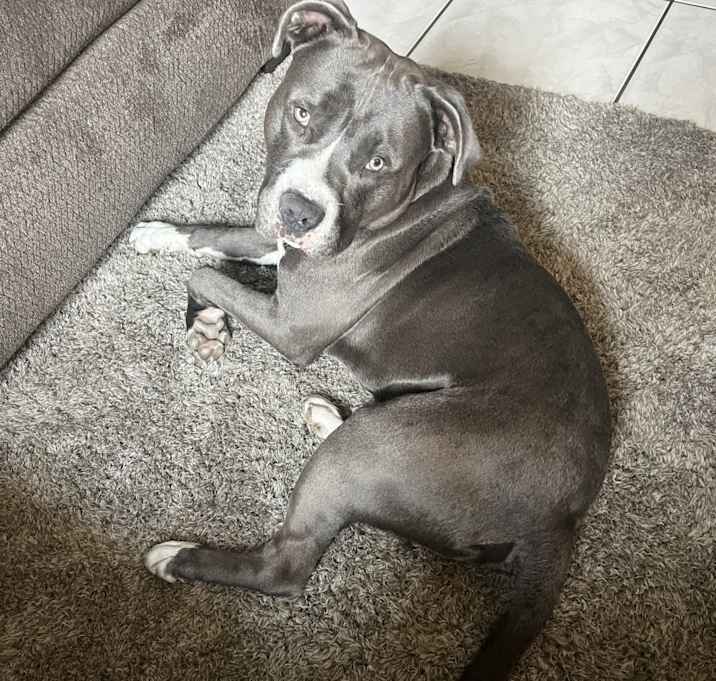Photo of Smokey